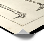 Poster 1691 Anatomie artistique os de jambe Art (Coin)