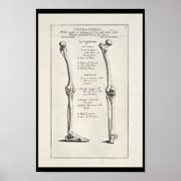 1691 Anatomie artistique os de jambe Art