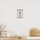 Poster 1691 Anatomie artistique Squelette Squelette Art i (Cuisine)