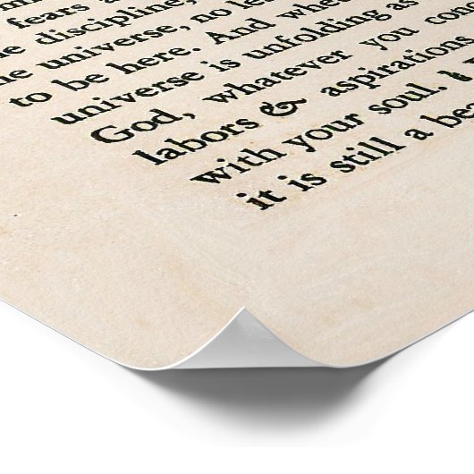 Poster 1692 - Desiderata (Coin)