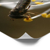 Poster 16 po x 12 po, papier d'affiche de valeur (Matte) (Coin)