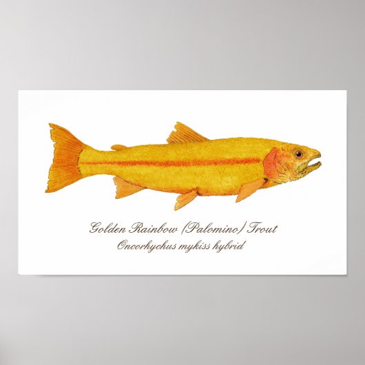 Poster 16 po x 12 po, papier d'affiche de valeur (Matte) (Devant)