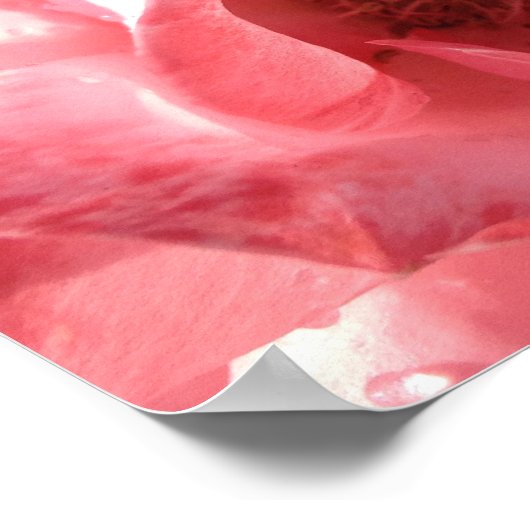 Poster 16 x 12 (Coin)