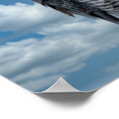 Poster 16x12 Faucon pèlerin le long de la rivière Hudson (Coin)