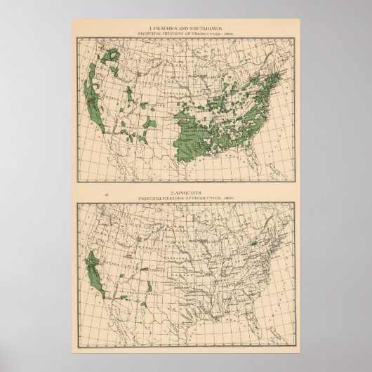 Poster 176 Pêches, nectarines, abricots (Devant)