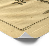 Poster 1817 Instruction de l'impression de la plante de c (Coin)