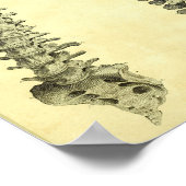 Poster 1824 Anatomie de colonne vertébrale humaine Imprim (Coin)