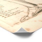 Poster 1833 Muscles d'anatomie Vintage de jambe Imprimer (Coin)