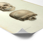 Poster 1844 Anatomie Vintage Imprimer le crâne humain (Coin)