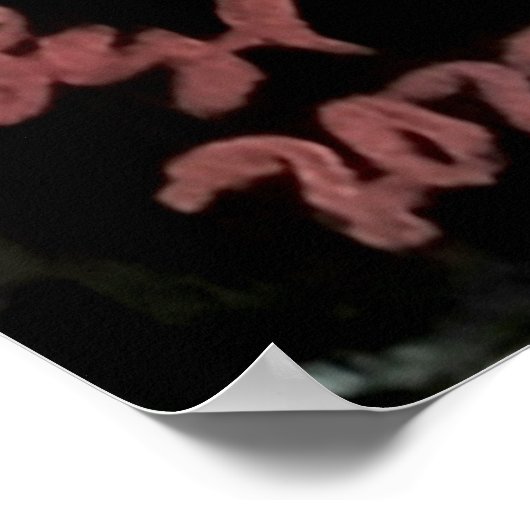 POSTER 184923 (Coin)