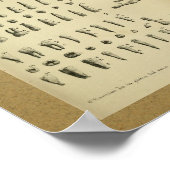 Poster 1850 Anatomie Vintage Imprimer Jaw Dents (Coin)