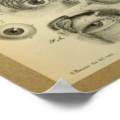 Poster 1850 Anatomie Vintage Imprimer l'oeil humain (Coin)