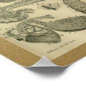 Poster 1850 Anatomie Vintage Imprimer Pancréas de rate (Coin)