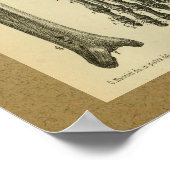 Poster 1850 Anatomie Vintage Imprimer Pied Genou (Coin)