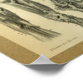 Poster 1850 Muscles d'anatomie Vintage (Coin)