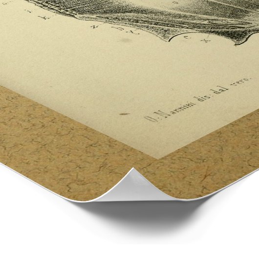 Poster 1850 Muscles d'impression anatomiques Vintages (Coin)