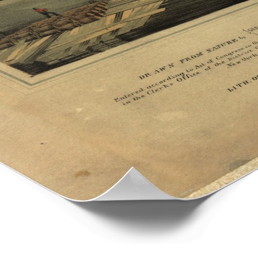 Poster 1850 Sacramento California Birds Eye Panoramic Map (Coin)