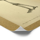 Poster 1850 Squelette d'impression anatomique Vintage (Coin)