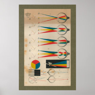 Poster 1851 diagrammes vintages d'anatomie de vue de