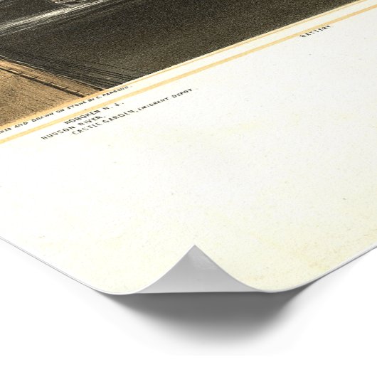 Poster 1856 New York City NY Oiseaux Vue panoramique (Coin)