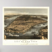 Poster 1856 New York City NY Oiseaux Vue panoramique (Devant)