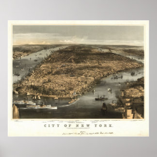 Poster 1856 New York City NY Oiseaux Vue panoramique