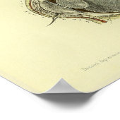 Poster 1866 Cornée oculaire humaine Anatomie Imprimer (Coin)