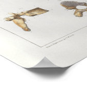 Poster 1867 Vertèbre épinière Anatomie Vintage Imprimer (Coin)