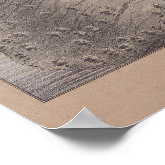 Poster 1872 Dallas, TX Oiseaux Vue panoramique Carte (Coin)