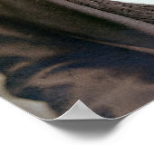 POSTER 1873 ROCKWOOD WILD BILL HICKOK PORTRAIT (Coin)