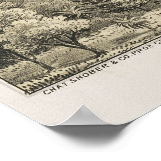 Poster 1876 McKinney, TX Oiseau Vue panoramique (Coin)