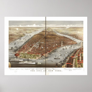 Poster 1876 New York City NY Oiseaux Vue panoramique