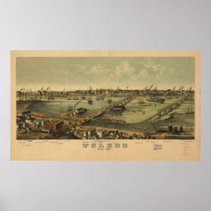 Poster 1876 Tolède, OH Oiseaux - Carte panoramique
