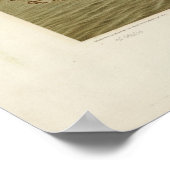 Poster 1878 Newport, RI Birds Eye View Panoramic Map (Coin)