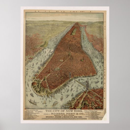 Poster 1879 New York City NY Oiseaux Vue panoramique (Devant)