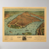 Poster 1879 New York City NY Oiseaux Vue panoramique (Devant)