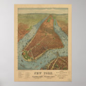 Poster 1879 New York City NY Oiseaux Vue panoramique (Devant)