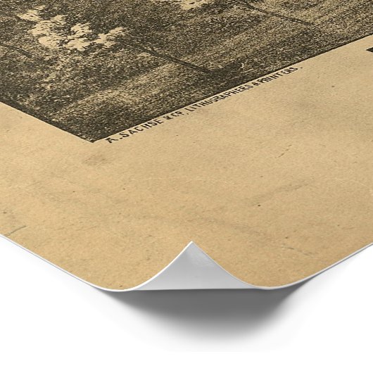 Poster 1880 Baltimore, MD Bird's Eye View Panoramic Map (Coin)