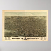 Poster 1880 Buffalo, NY Oiseaux Vue panoramique (Devant)