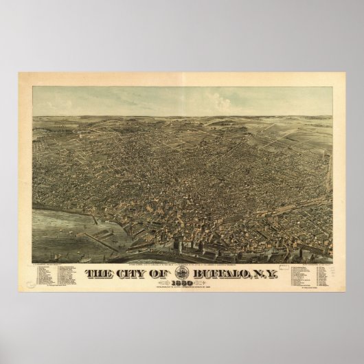 Poster 1880 Buffalo, NY Oiseaux Vue panoramique (Devant)