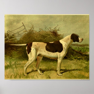 Poster 1881 copies vintages de chien d'indicateur