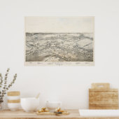 Poster 1881 Nouveau Braunfels TX Oiseaux Vue panoramique  (Cuisine)
