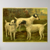 Poster 1881 Vintage Fox Terriers Imprimer (Devant)