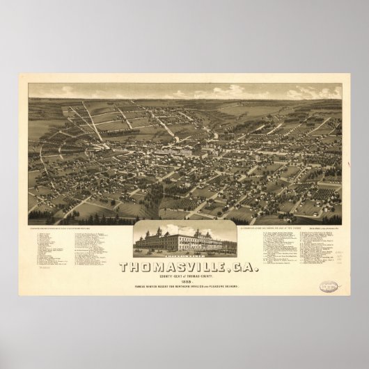 Poster 1885 Thomasville, GA Oiseaux Vue panoramique Carte (Devant)