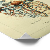 Poster 1886 Anatomie Vintage du coeur humain Imprimer (Coin)