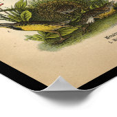 Poster 1890 Arbre de prairie à oiseaux (Coin)