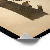 Poster 1890 Bird Print Flicker (Coin)