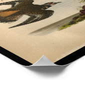 Poster 1890 Blesseur d'oiseaux (Coin)