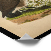 Poster 1890 Oie Imprimer Oie sauvage (Coin)