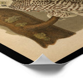 Poster 1890 Oiseau Imprimer Chouette neigeuse (Coin)